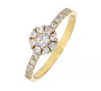 Zlatý prsteň 2313